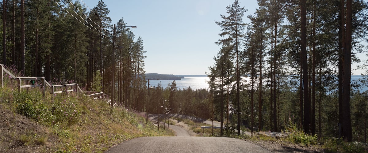 A forested road leading to a lake with a clear sky and sunlight.