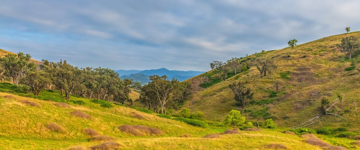 Early morning countryside with cloud cover around Windamere Dam, Cudgegong and Mudgee in the Central West of NSW, Australia.