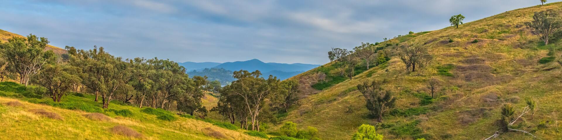 Early morning countryside with cloud cover around Windamere Dam, Cudgegong and Mudgee in the Central West of NSW, Australia.