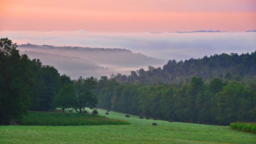 This was our front porch view for three years.