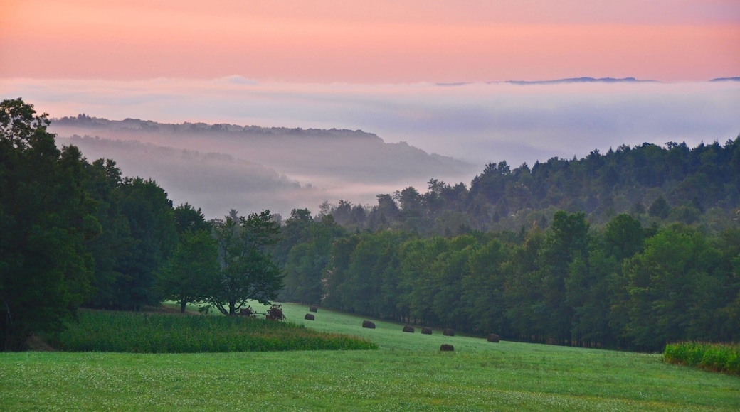 This was our front porch view for three years.