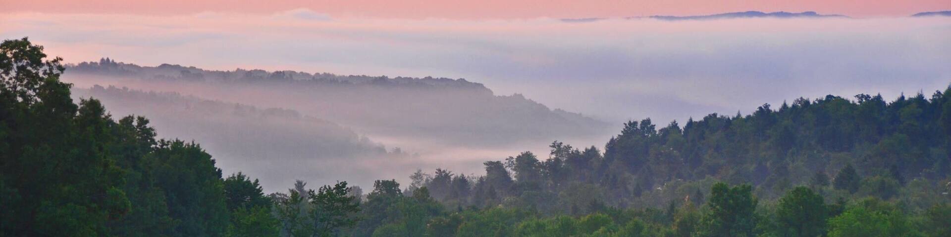 This was our front porch view for three years.