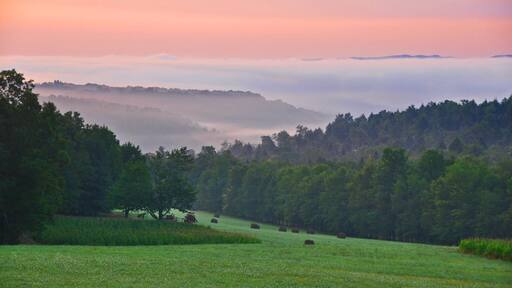 This was our front porch view for three years.