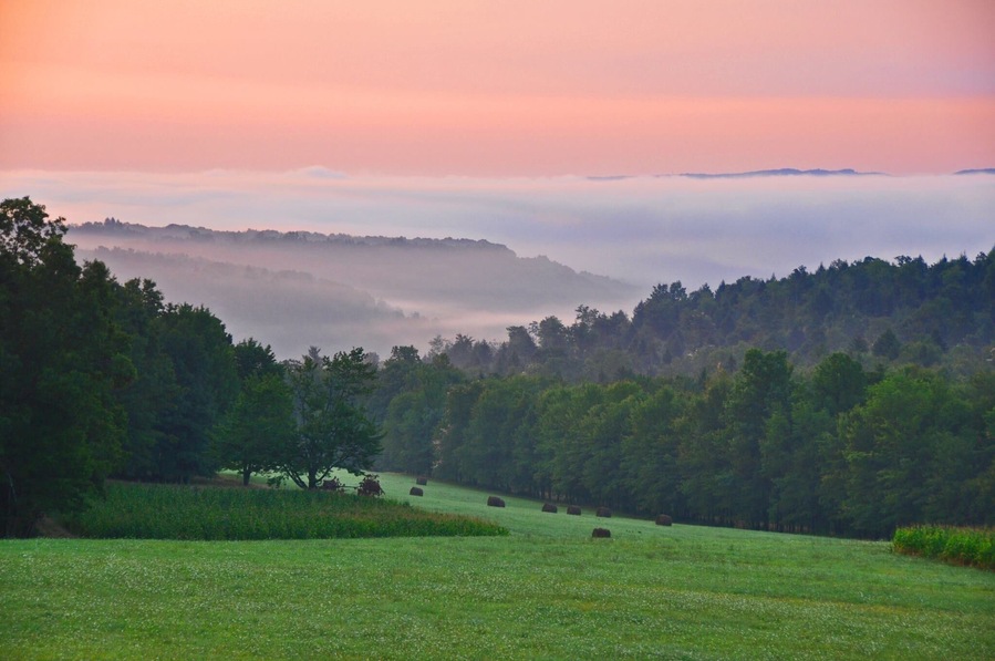 This was our front porch view for three years.