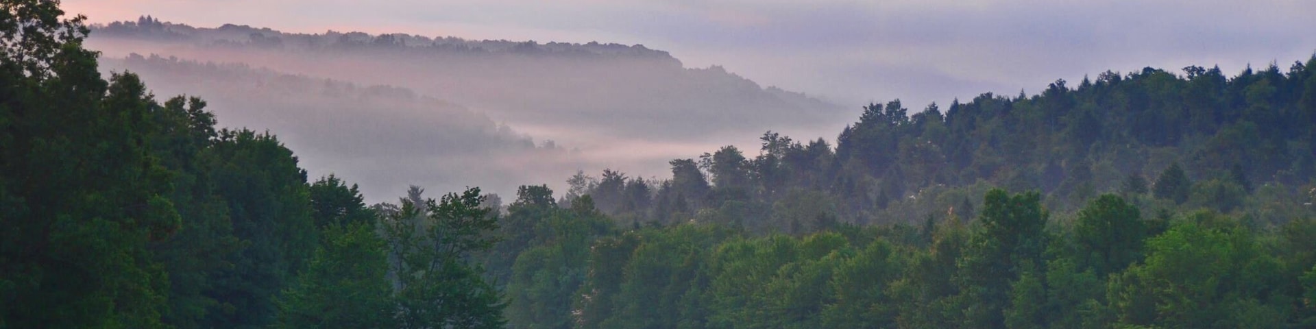 This was our front porch view for three years.