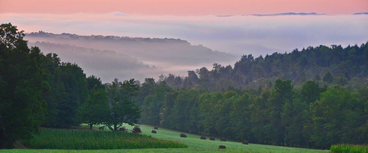A misty landscape with rolling hills, a dense forest, and hay bales in a field.