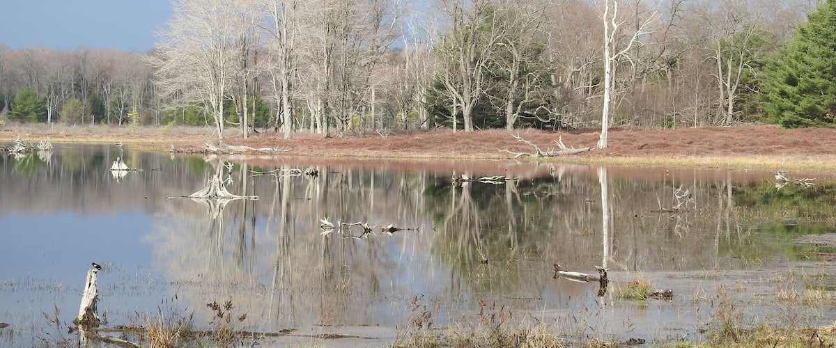 The beautiful scenery of the Beaver Run Dam Wildlife Viewing Area, in the Quehanna Wild Area, Moshannon State Forest, Weedville, Elk County, Pennsylvania.