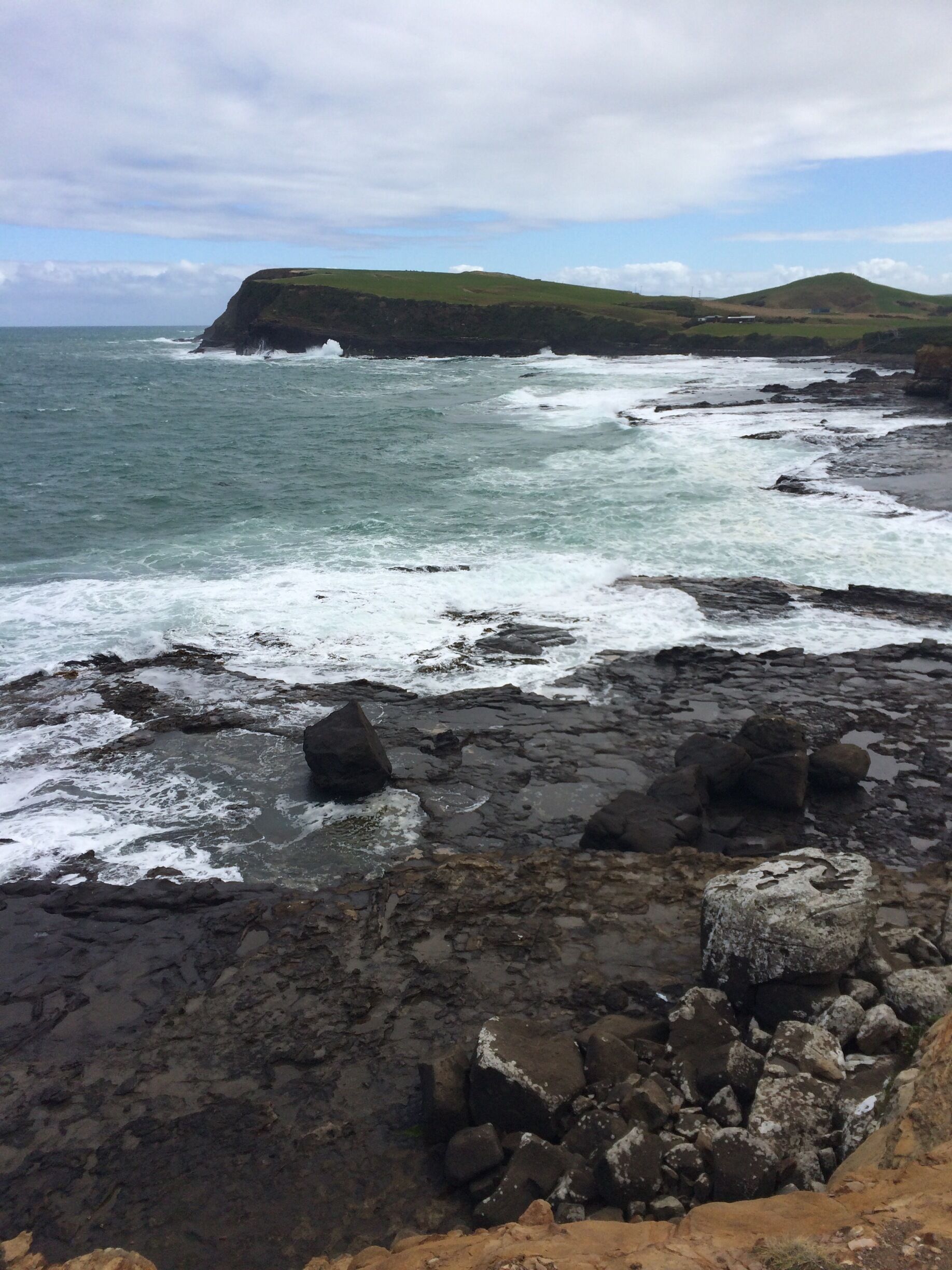 Curio Bay, The Catlins 