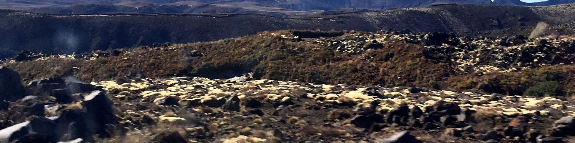 Tongariro national park