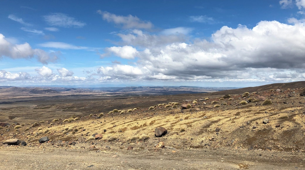 So lucky with the weather today!