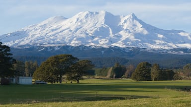 Mount Ruapehu from Ohakune; Shutterstock ID 3963082; Purchase Order: -
