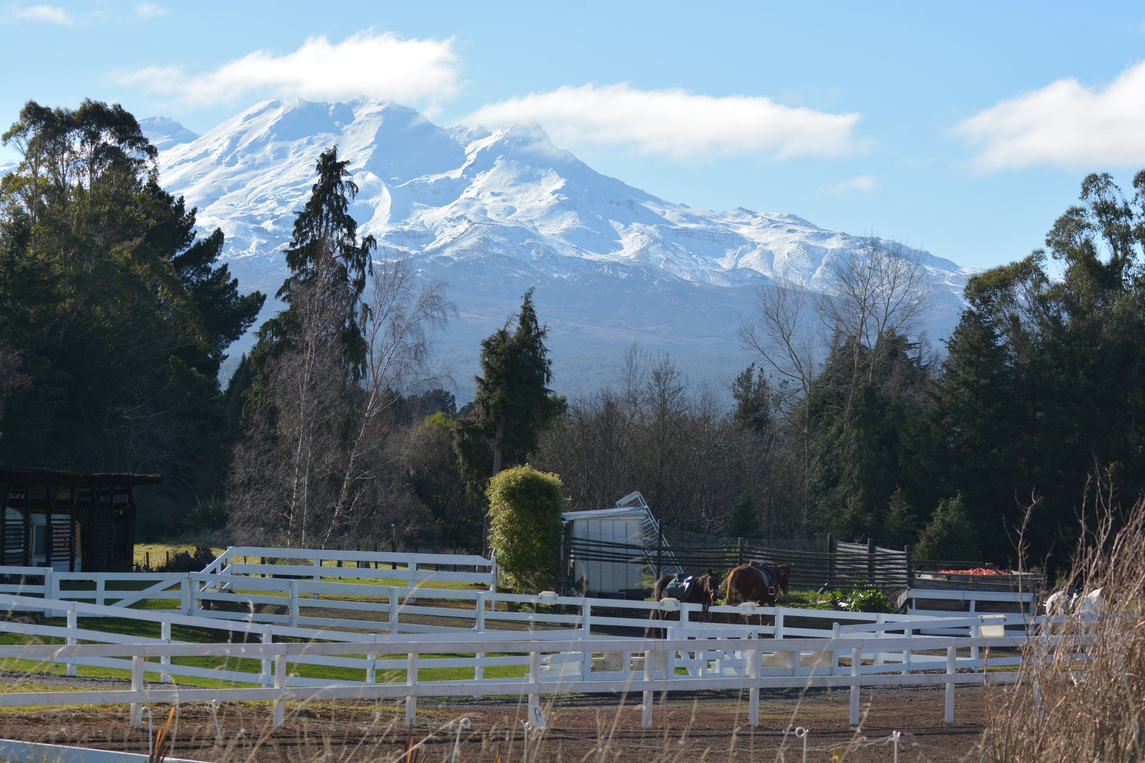 Beautiful back drop to ride a horse :)