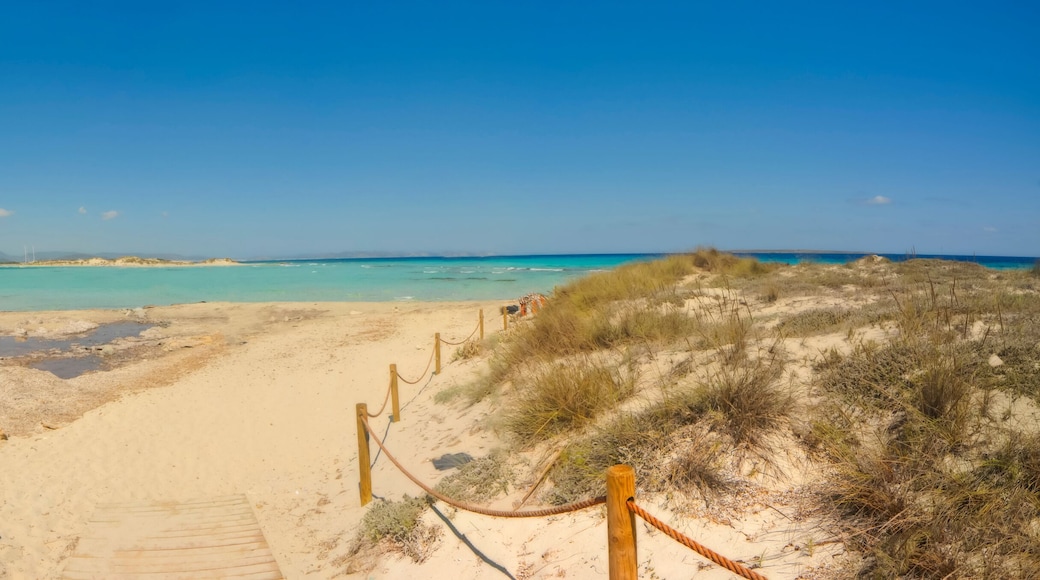 Panoramic view extra large isla de espalmador Formentera Spain. Marine channel that separates ses illetes from isola de espalmador. Vacation travel concept