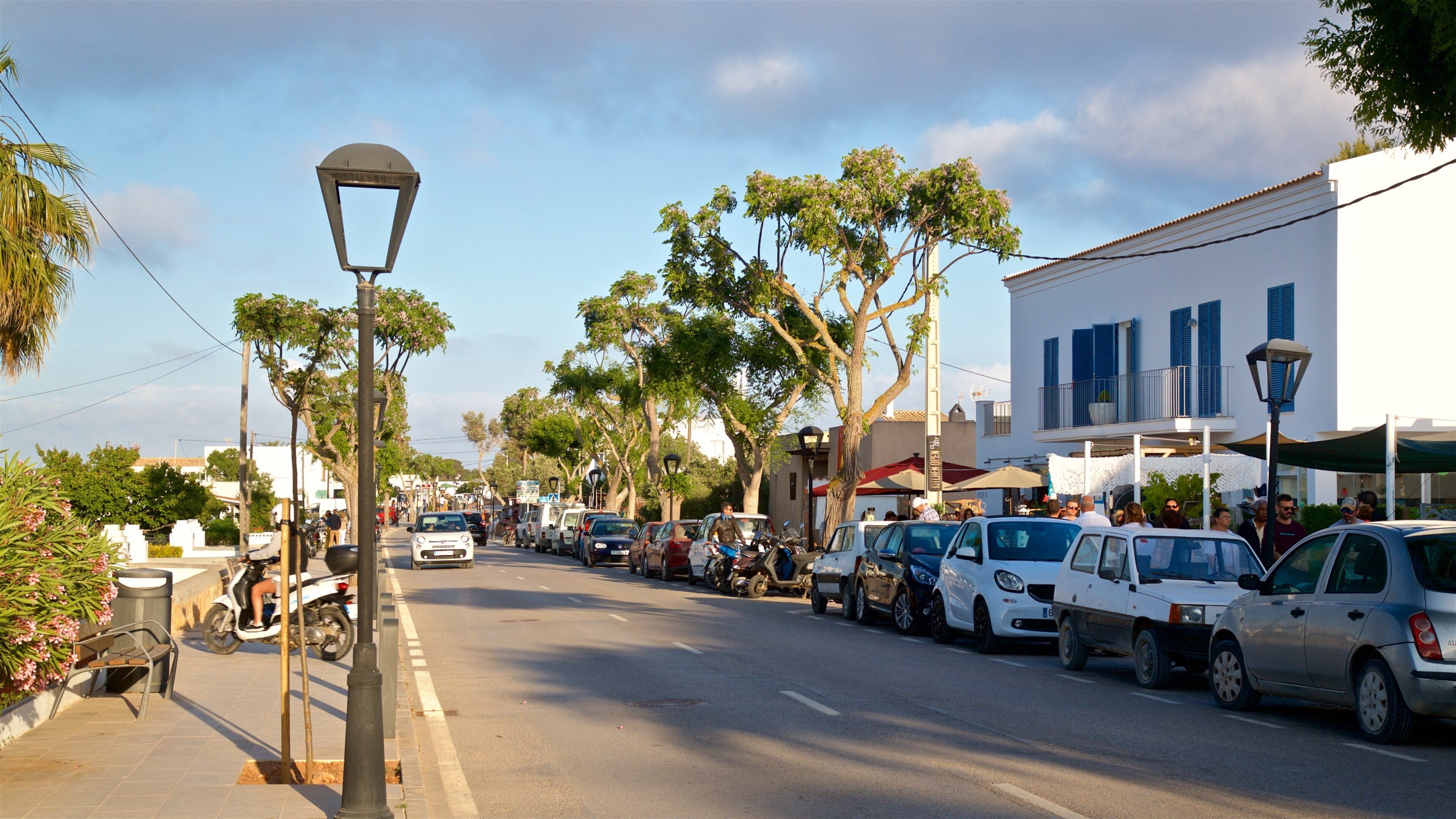 A street lined with parked cars and trees, with buildings on one side and a clear sky.
