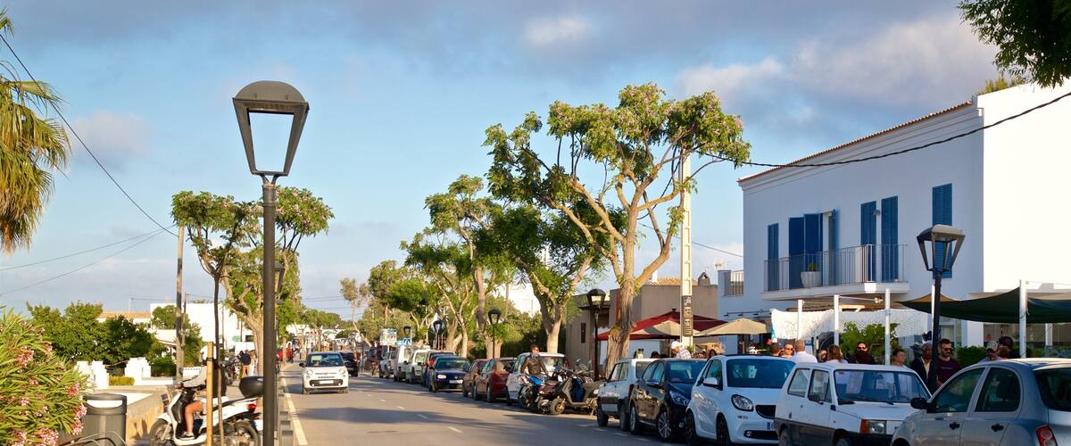A street lined with parked cars and trees, with buildings on one side and a clear sky.