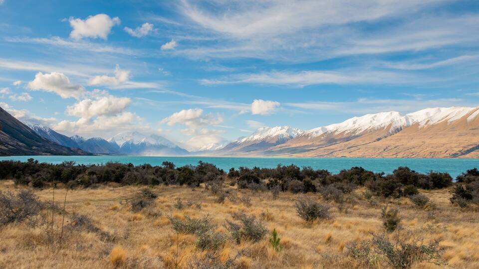 A mountainous landscape with a turquoise lake and dry grassland.