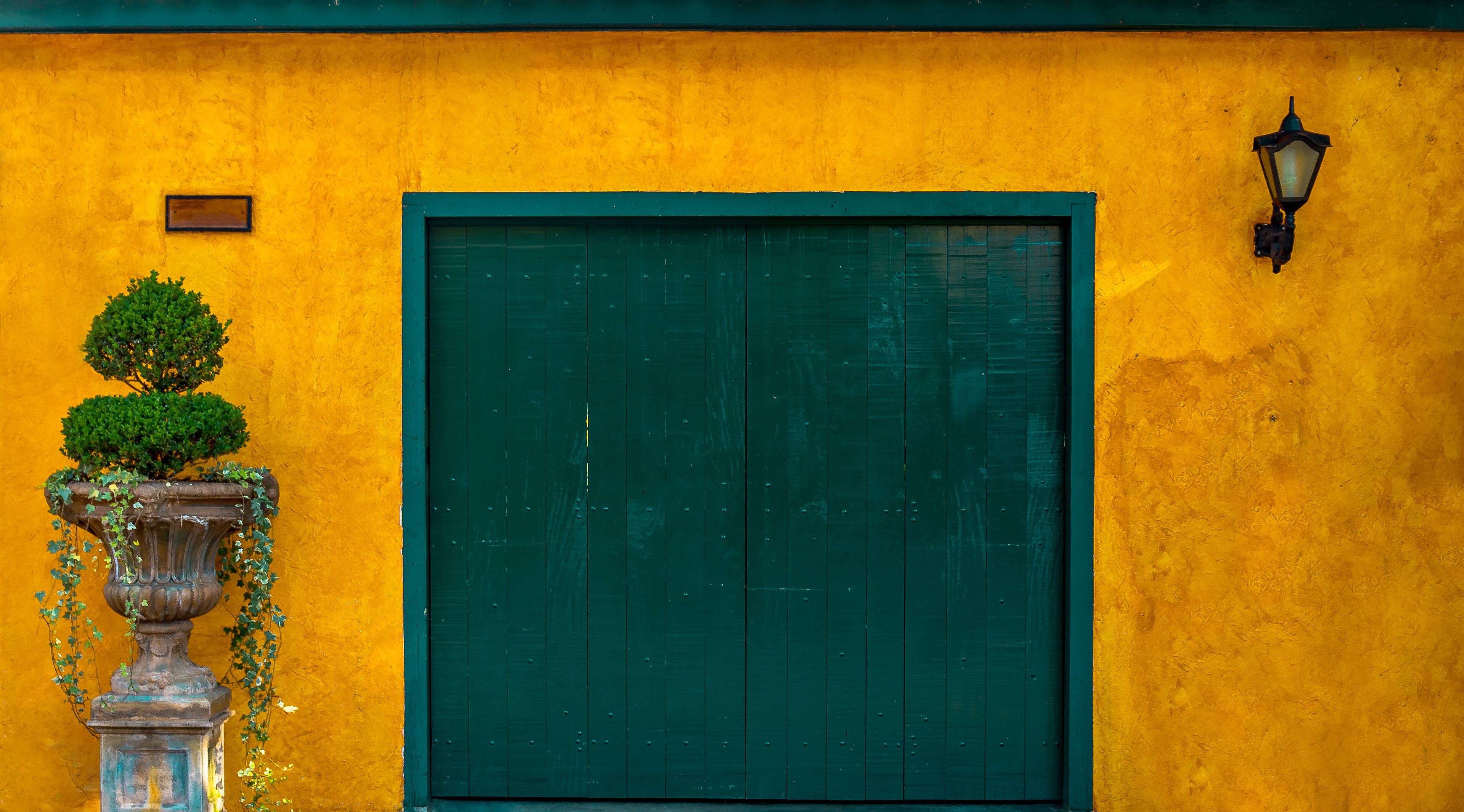 A yellow wall with a green door and a small tree on a pedestal.