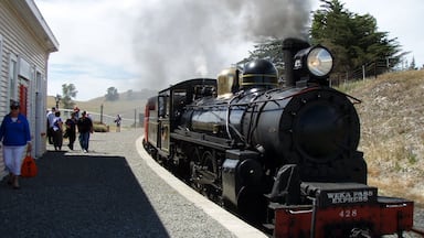 Book a ticket on a vintage steam train with Weka Pass Railways and travel through the Canterbury Plains in style.