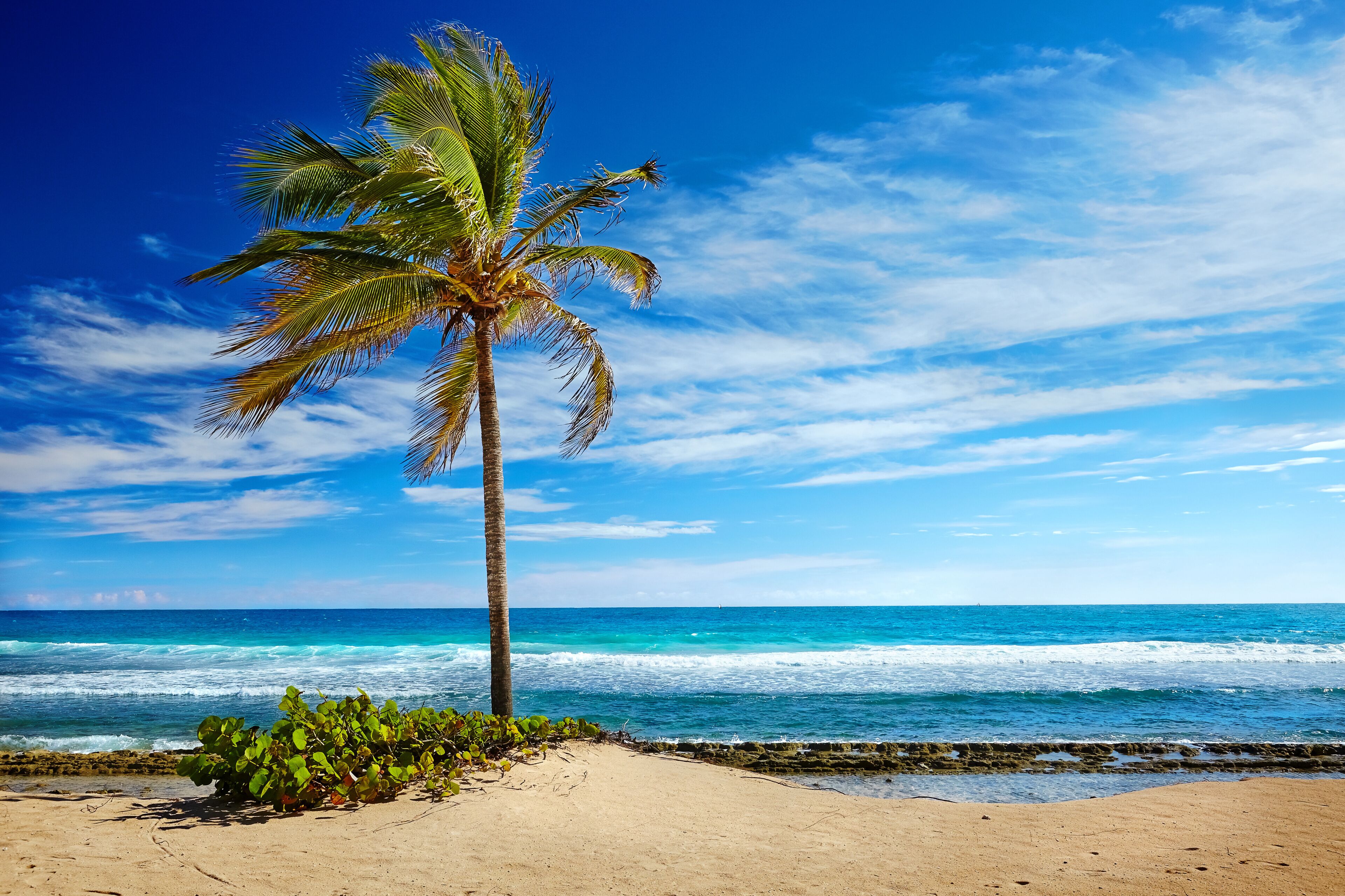 Caribbean beach and tropical sea in Haiti