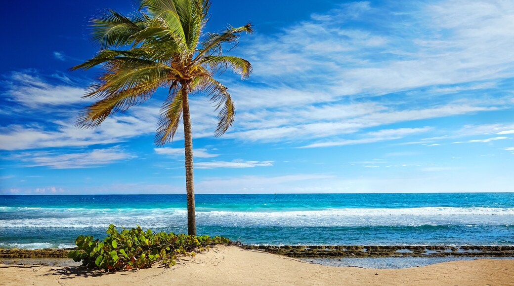 Caribbean beach and tropical sea in Haiti