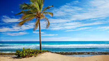 Caribbean beach and tropical sea in Haiti