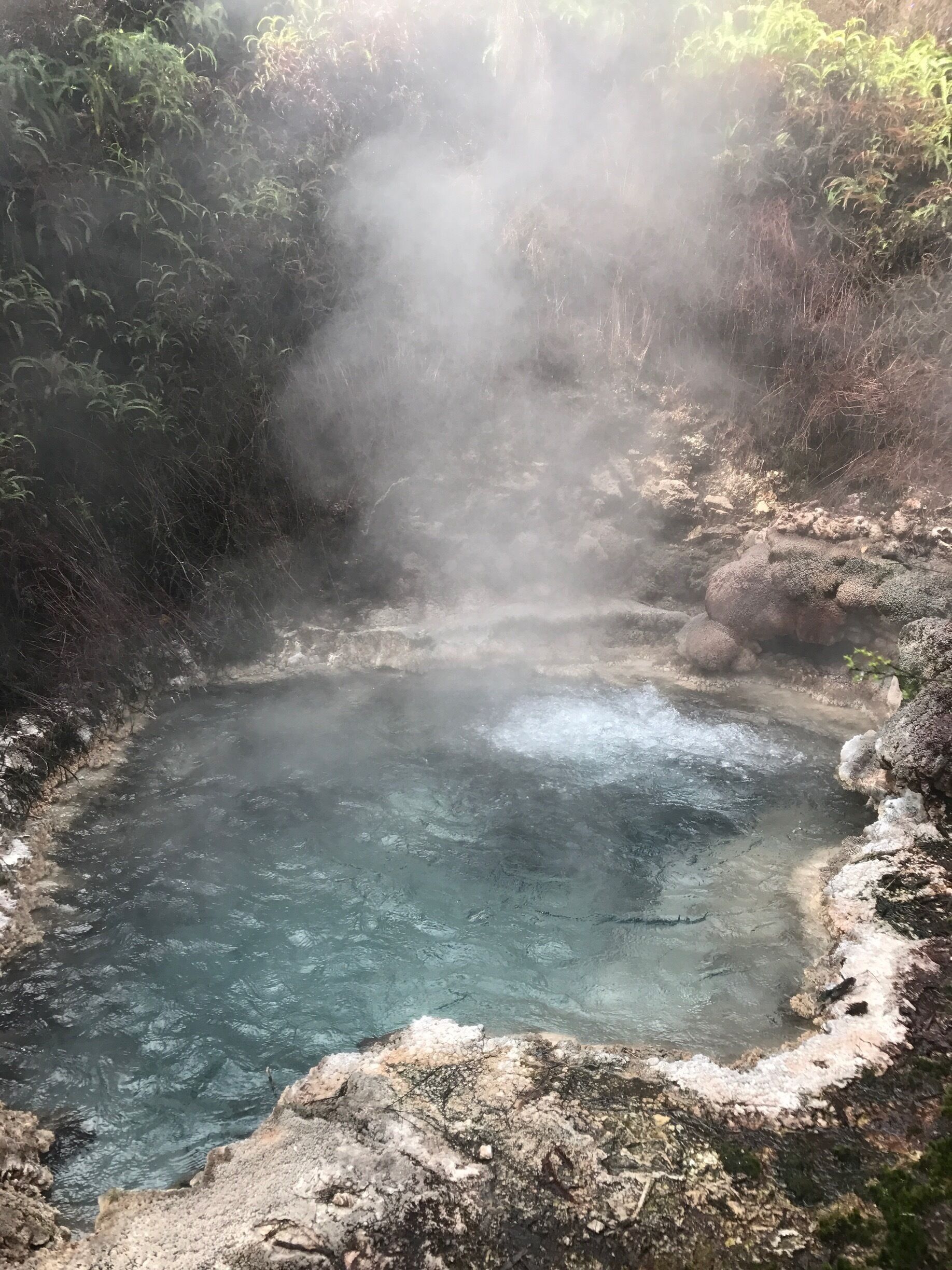 I really enjoyed this off the beaten path thermal walk, you take a ferry over the river to have an unguided walk through the trails. Very neat spot 