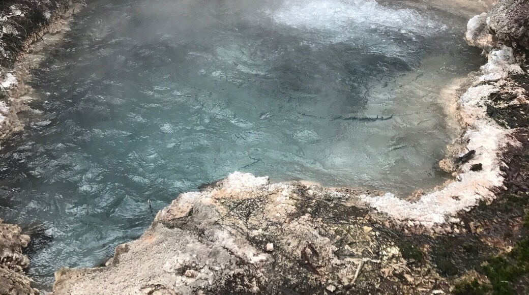 I really enjoyed this off the beaten path thermal walk, you take a ferry over the river to have an unguided walk through the trails. Very neat spot
