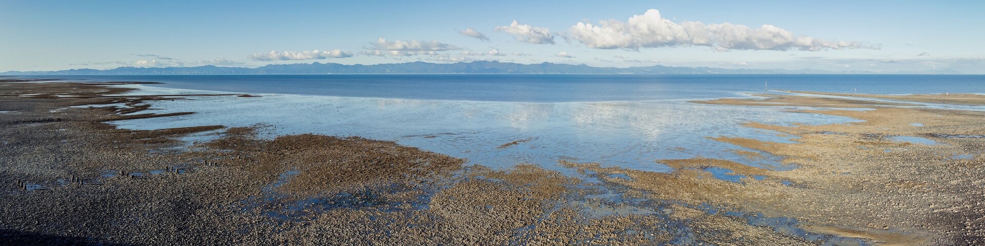 Shoreline of shells and low tide mudflats of the Firth of Thames,, Miranda, Auckland, New Zealand.