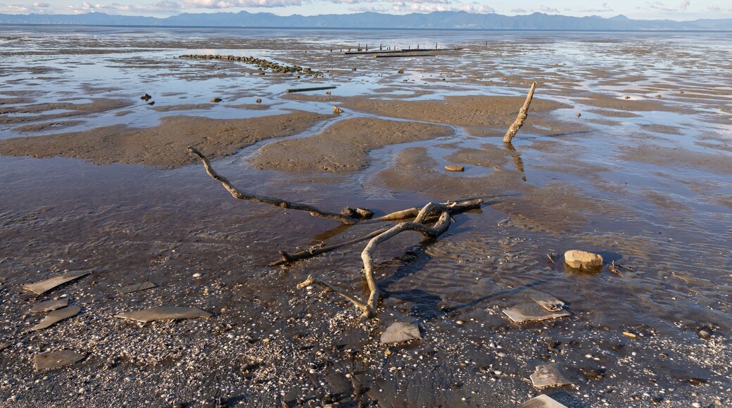 Low tide mudflats of the Firth of Thames,, Miranda, Auckland, New Zealand. The Coromandel Peninsula is in the distance