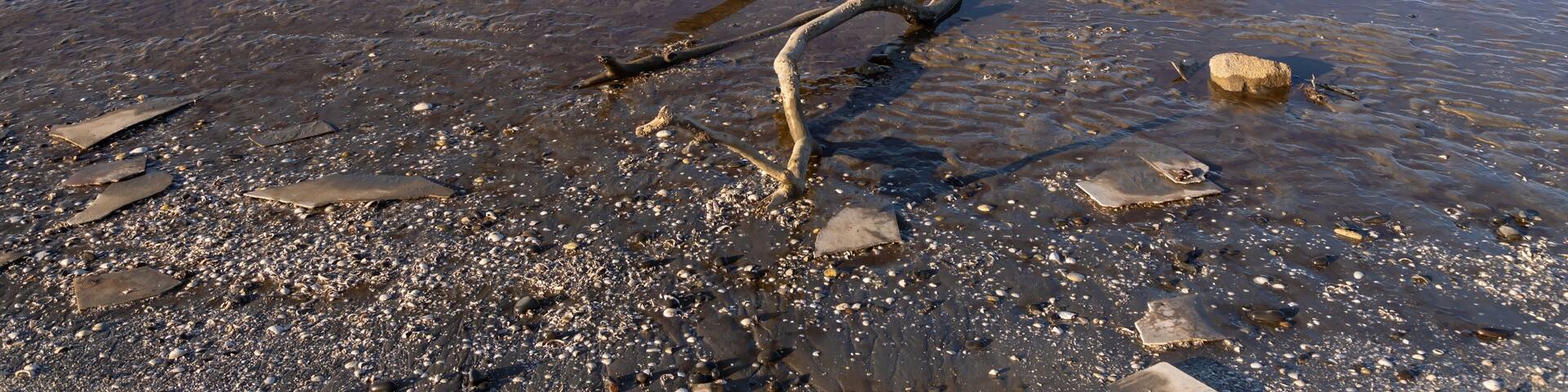 Low tide mudflats of the Firth of Thames,, Miranda, Auckland, New Zealand. The Coromandel Peninsula is in the distance
