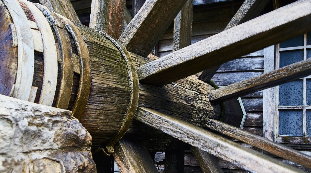 A close-up of a large wooden water wheel with visible wear and moss growth.