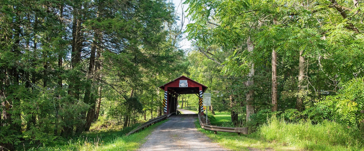 A covered wooden bridge in a forested area with a weight limit sign.