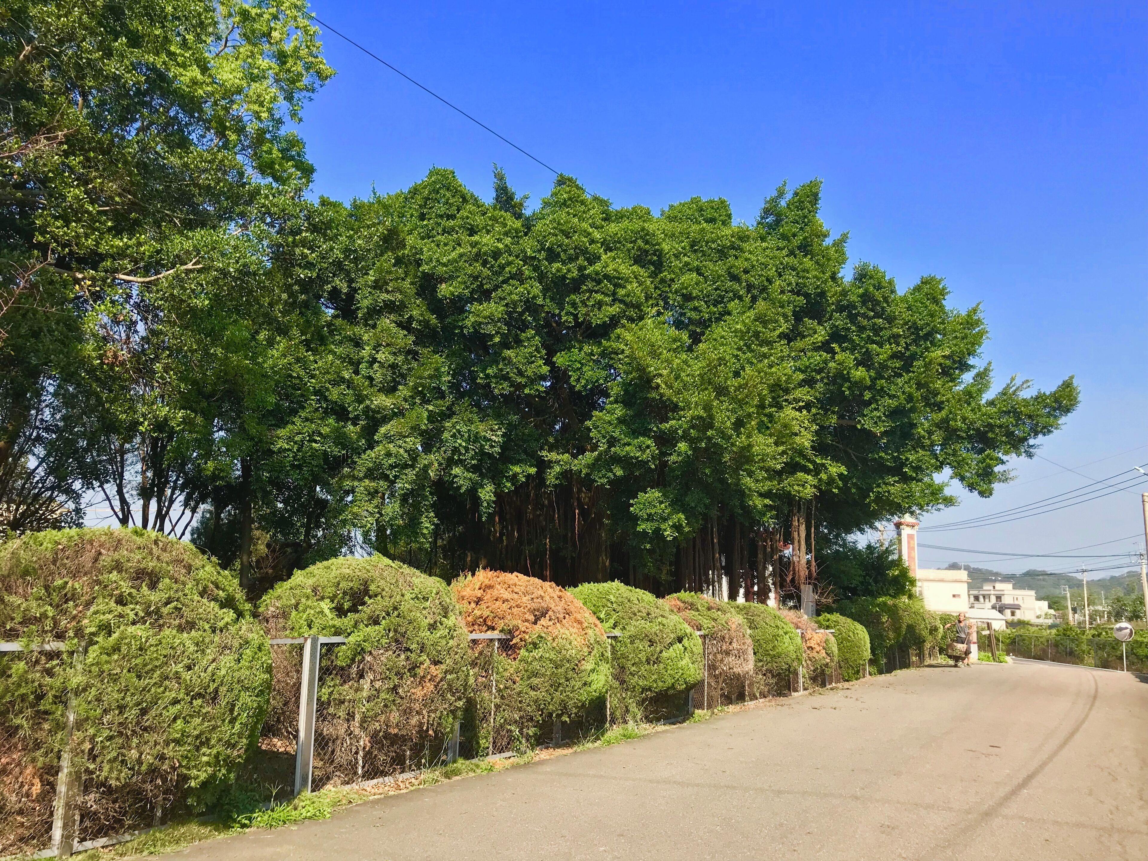 五鶴山五穀宮樹園