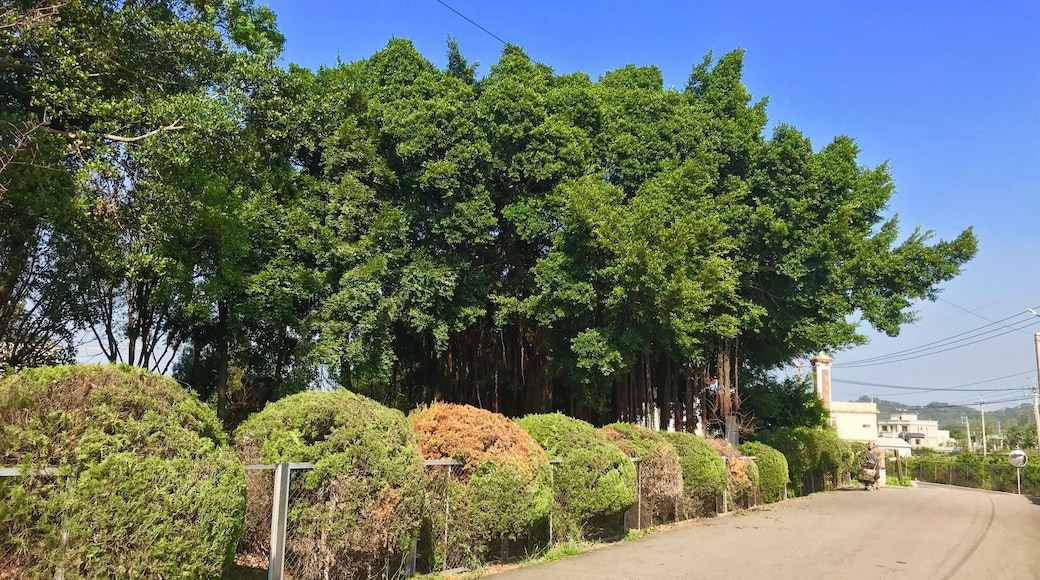 五鶴山五穀宮樹園