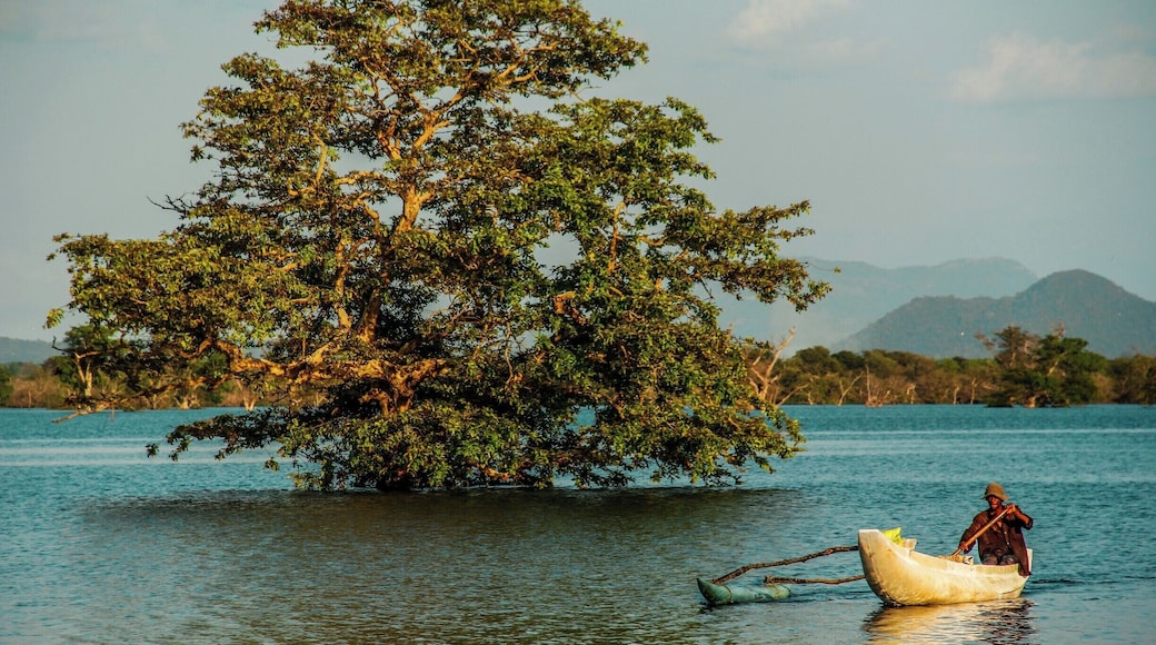 Catamaran boat fisherman finishes day, after preparations for tomorrows fishing, in Bluish water.
#Blue
