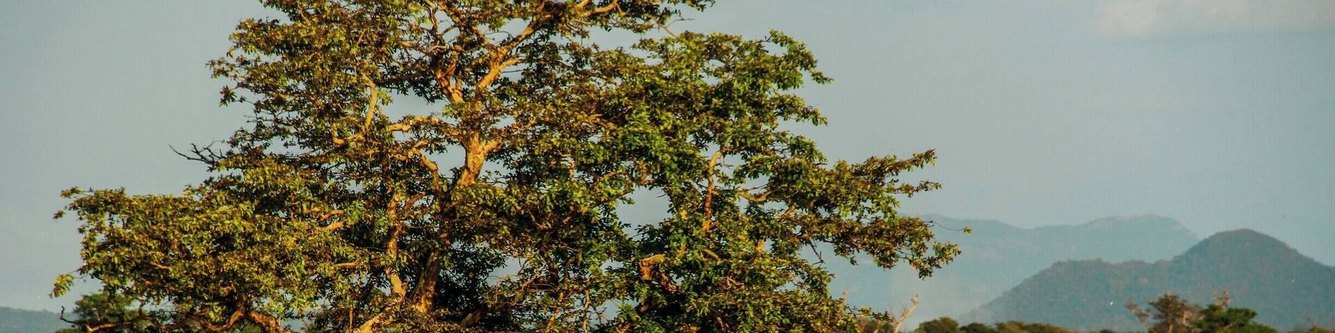 Catamaran boat fisherman finishes day, after preparations for tomorrows fishing, in Bluish water.
#Blue