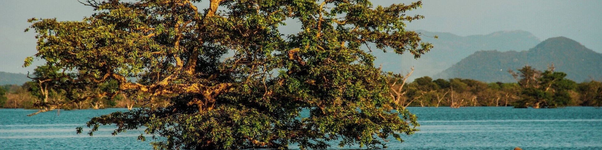 Catamaran boat fisherman finishes day, after preparations for tomorrows fishing, in Bluish water.
#Blue