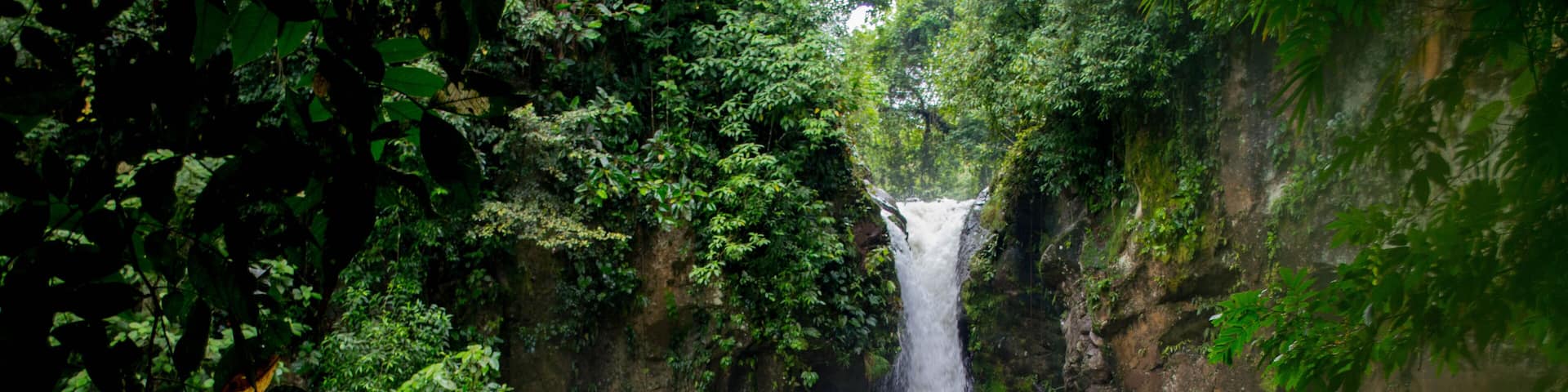 Hidden waterfall in the jungles of Costa Rica. "Waterfall las Golondrinas" in Guacimo, Costa Rica. "Catarata las Golondrinas" in Guacimo, Costa Rica.
