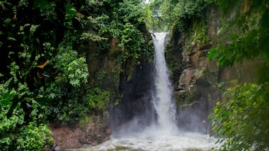 Hidden waterfall in the jungles of Costa Rica. "Waterfall las Golondrinas" in Guacimo, Costa Rica. "Catarata las Golondrinas" in Guacimo, Costa Rica.