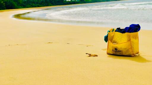 Hiriketiya - A YET untouched beach, found amidst a village in the Southern Coast of Sri Lanka ..❤️
A lil Tip - if you want to learn to Surf , this is a great beach with baby waves for beginners ..This’s where I touched a Surf board ever 😝
#travellife #beaches #myholidayinmycountry #islandvibe #LifeAtExpedia