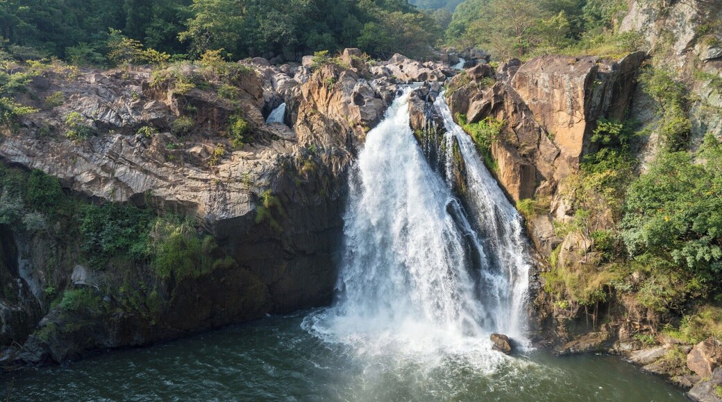 Duvili Falls is one of the most beautiful waterfalls in Sri Lanka. Luckily, it has got easy access to the falls after a 10 minutes hike from the car park. Such a great place with all the facilities including a children park in front of the falls for the little kids. According to the folktales, it's bit too much dangerous to bath in the pool above the waterfalls.