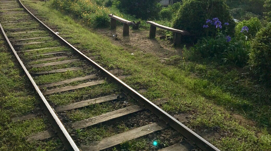 Trip with Train trough highland; Sri Lanka