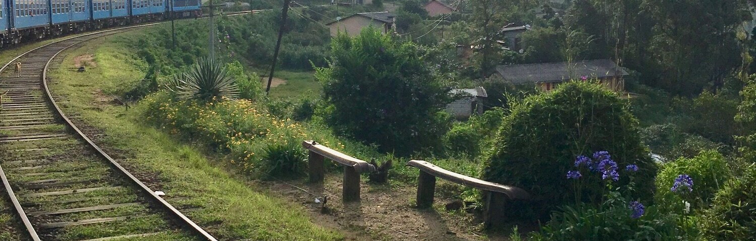 Trip with Train trough highland; Sri Lanka