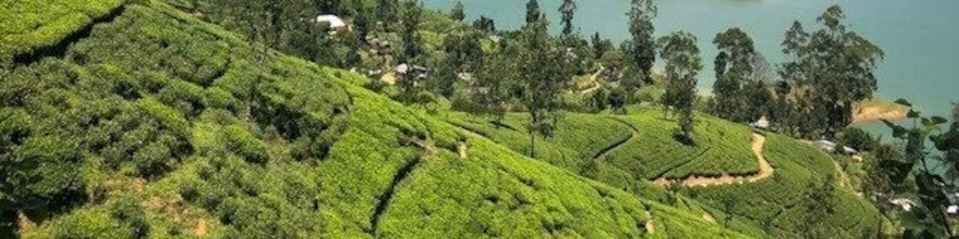 #LifeAtExpedia Beautiful lake we passed in Sri Lanka, just next to the 'normal' road.