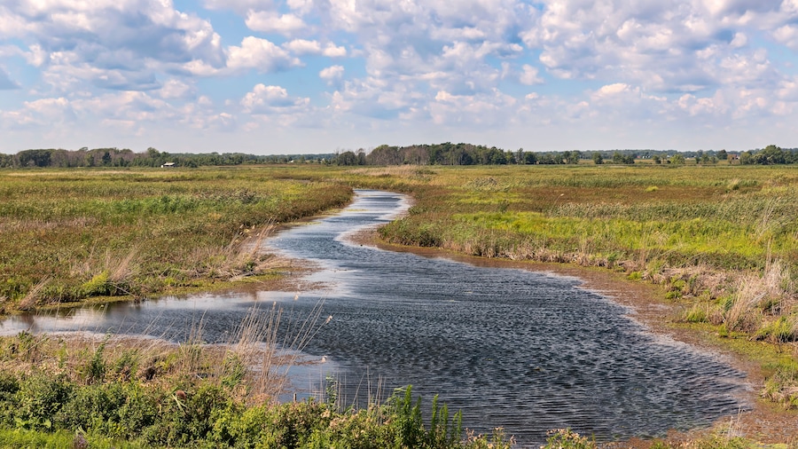 Long Point Birding Trail at Big Creek Natural Reserve Marsh, Lake Erie, Long Point, Ontario, Canada.