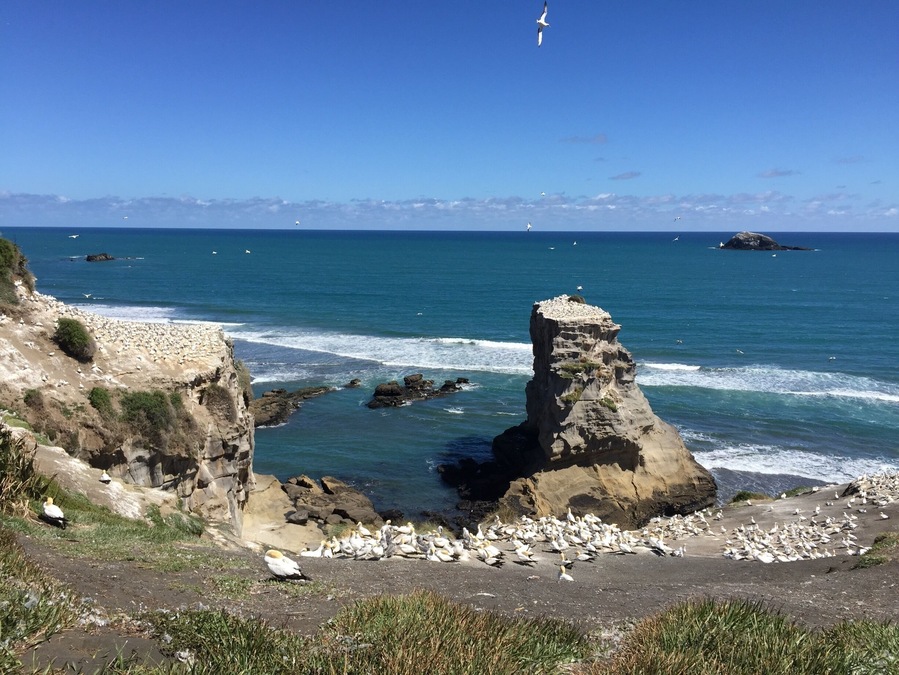 Quick little walking trail has amazing views. There's a shallow cave below this too!