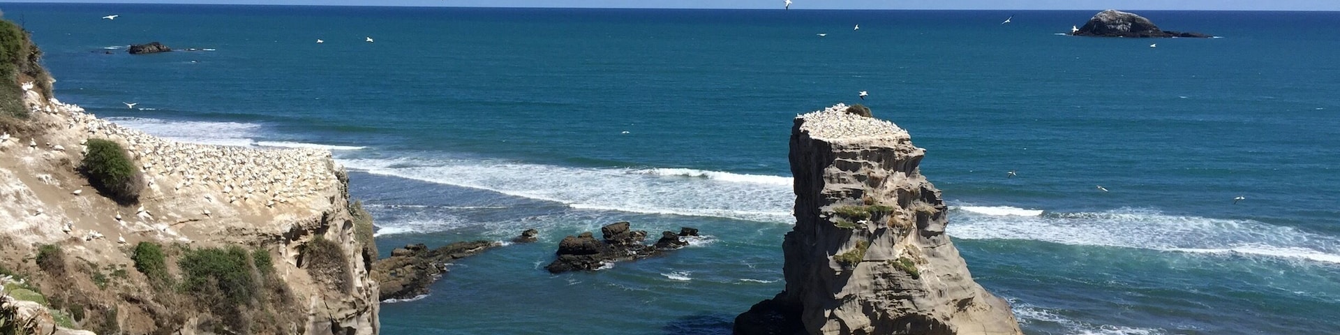 Quick little walking trail has amazing views. There's a shallow cave below this too!