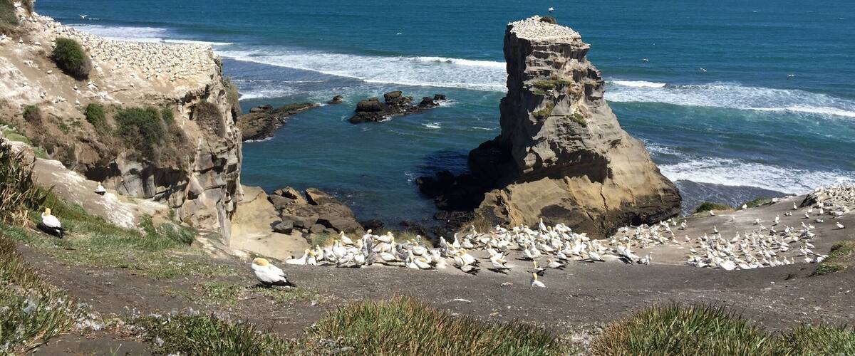 A coastal landscape with a prominent rock formation, a sandy beach, and the ocean.