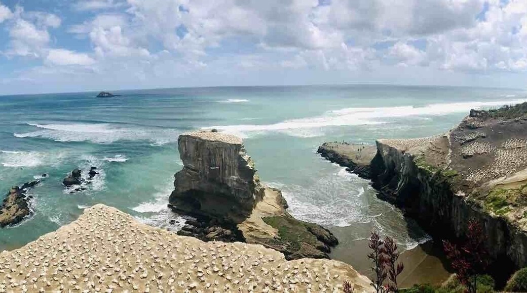 Amazing view at Muriwai Beach, New Zealand
