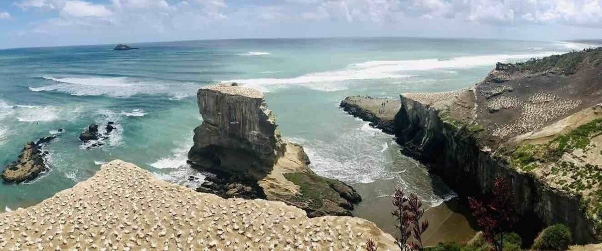 Amazing view at Muriwai Beach, New Zealand